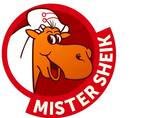 Logotipo Mister Sheik